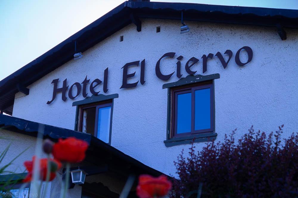 Hotel El Ciervo Villarrica Extérieur photo
