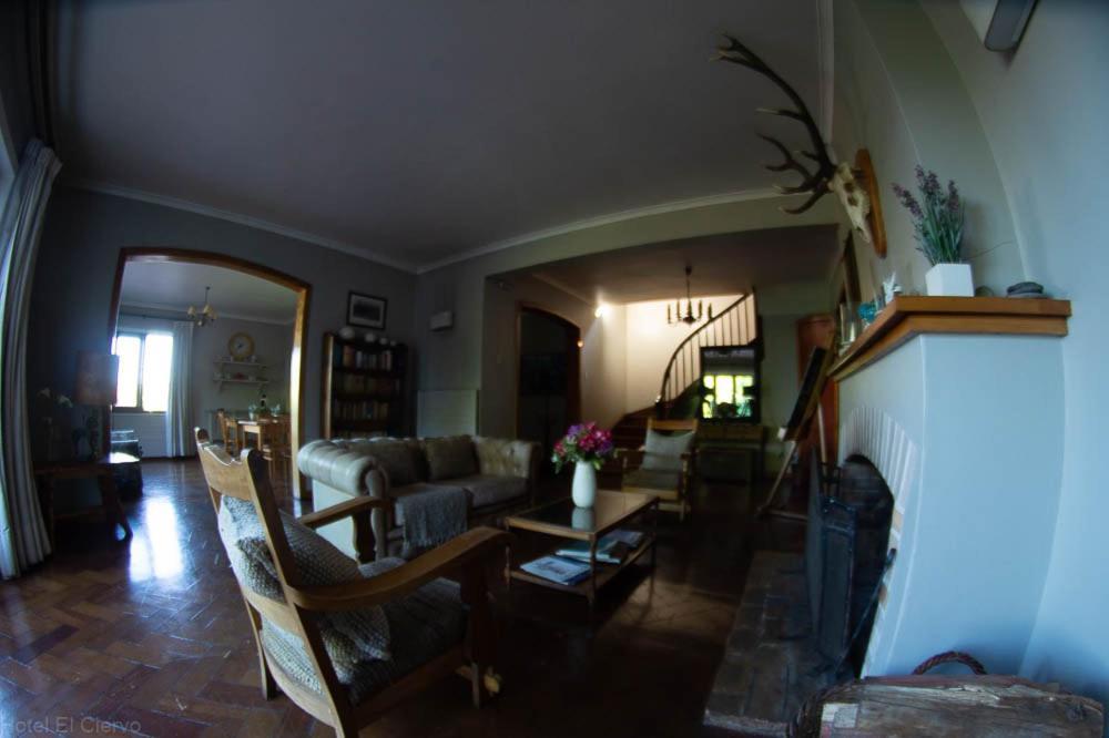 Hotel El Ciervo Villarrica Extérieur photo
