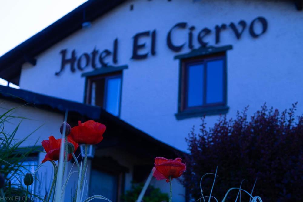 Hotel El Ciervo Villarrica Extérieur photo