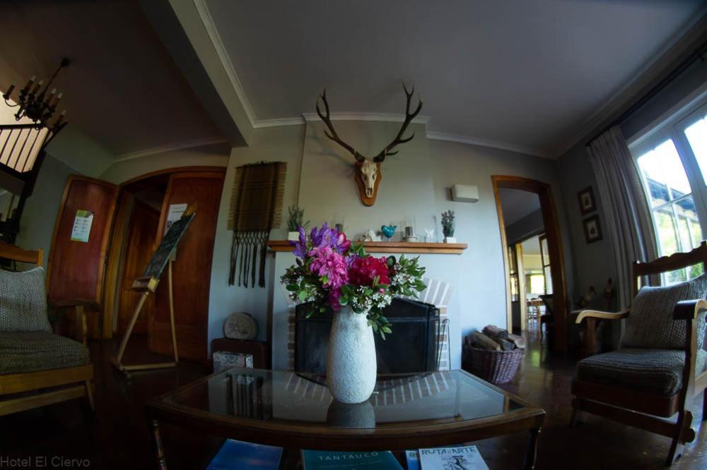 Hotel El Ciervo Villarrica Extérieur photo